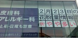花粉量情報