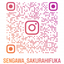 sengawa_sakurahifuka_qr